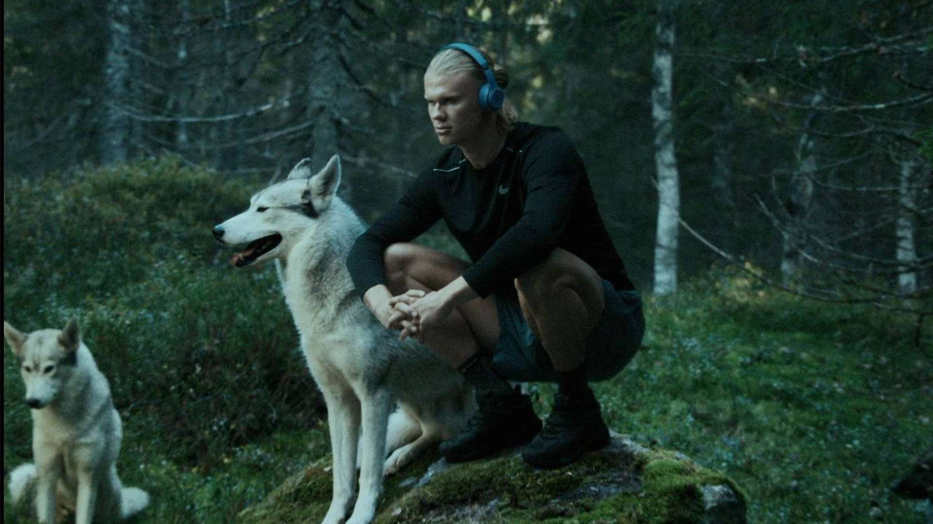 用的发展趋 用的发展趋